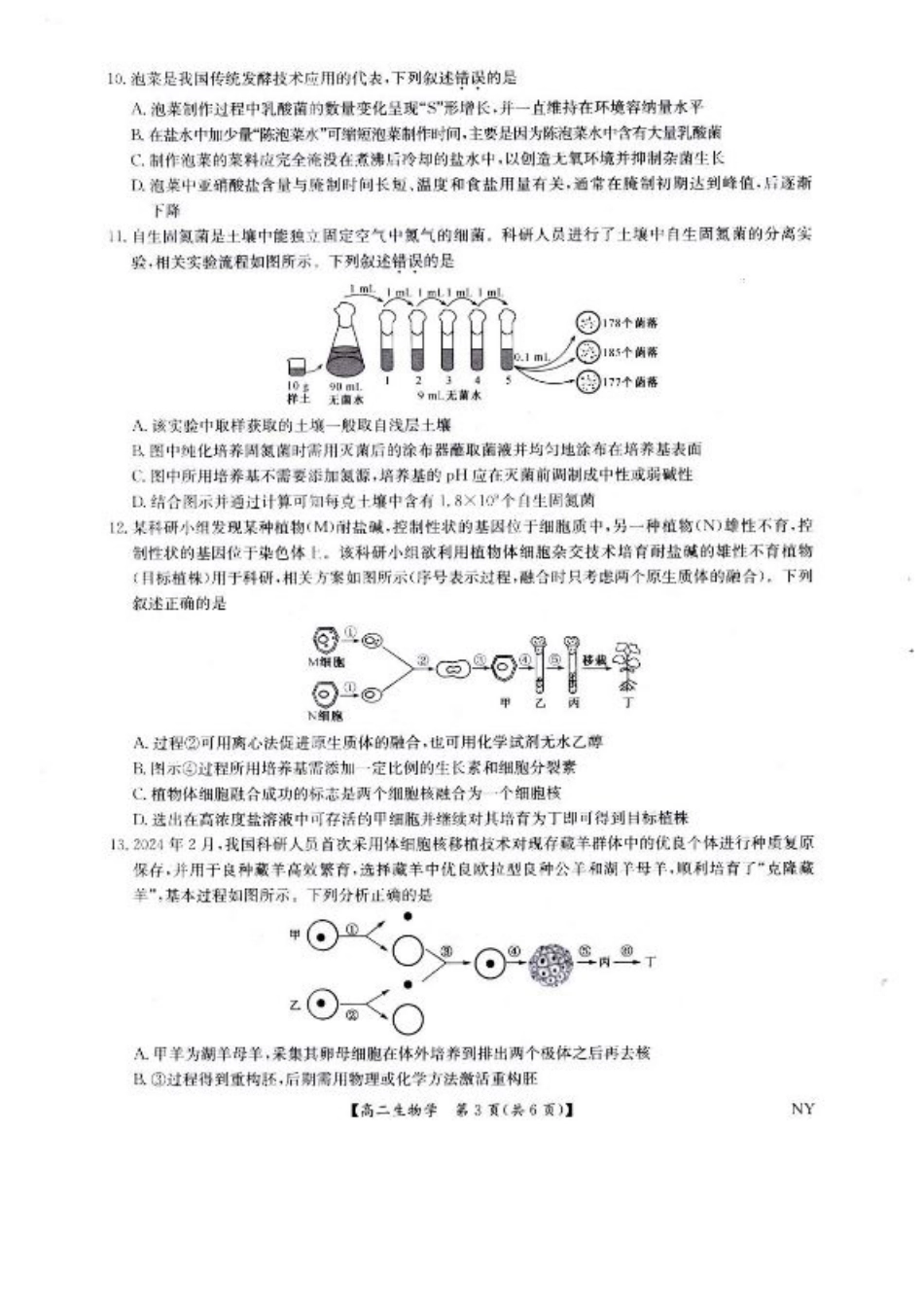 河南省南阳市九师联盟2024-2025学年高二下学期6月期末考试生物试题（含答案）.pdf_第3页