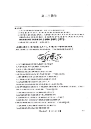 河南省南阳市九师联盟2024-2025学年高二下学期6月期末考试生物试题（含答案）.pdf