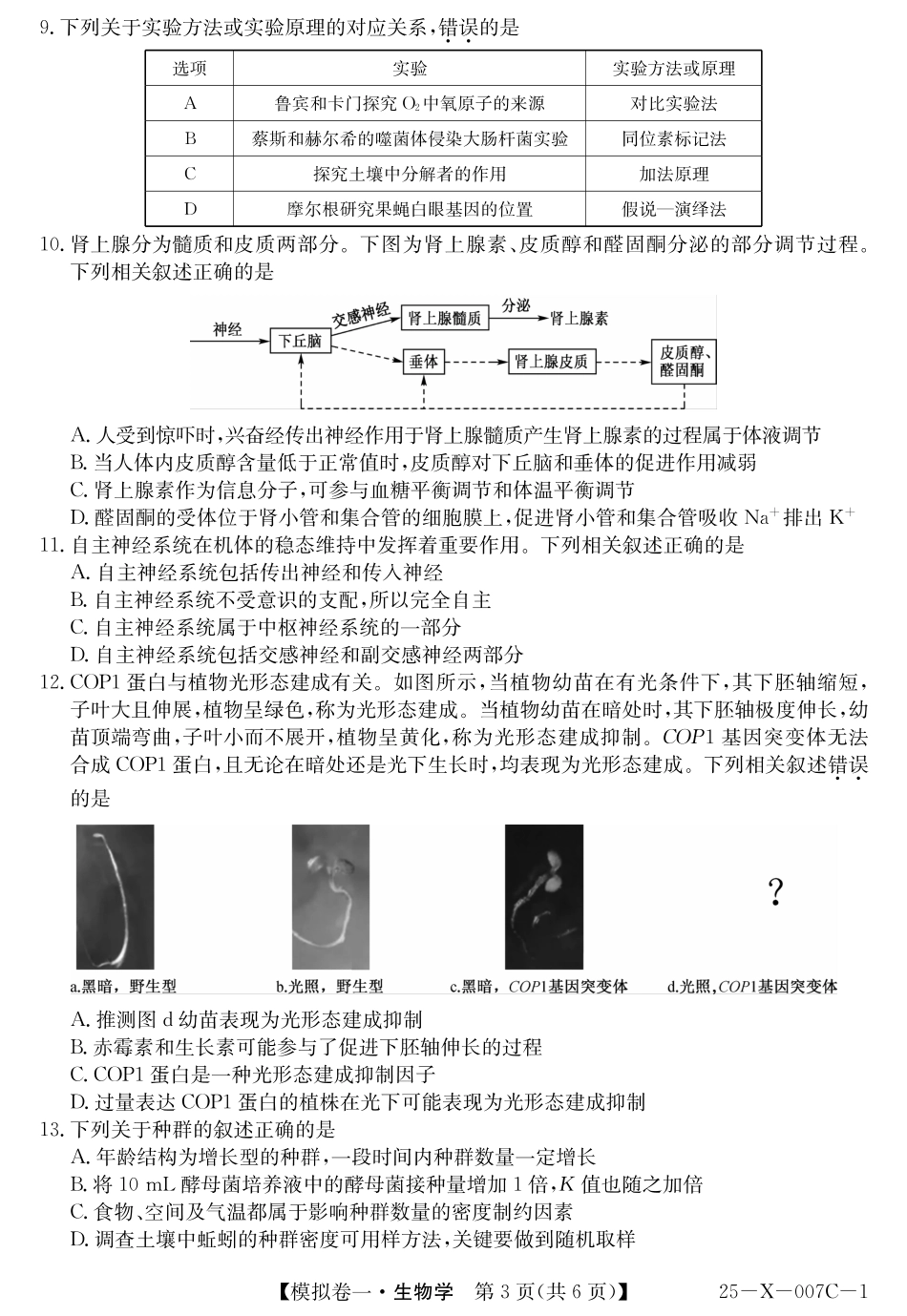 河南省新高中创新联盟2025届高三模拟卷一生物.pdf_第3页