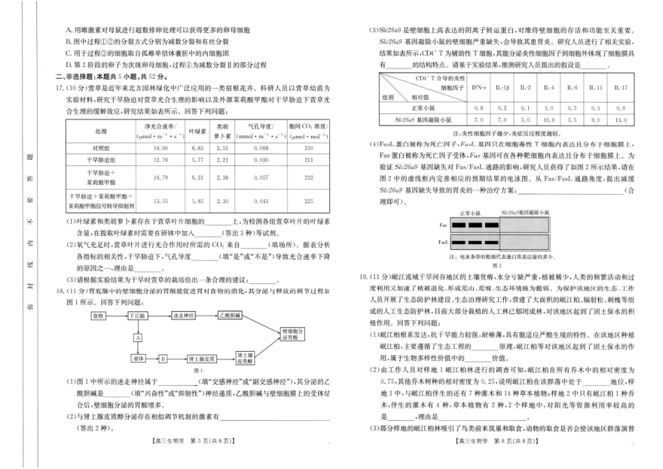 河南省新乡2025届高三第二次模拟-生物试题+答案.pdf_第3页