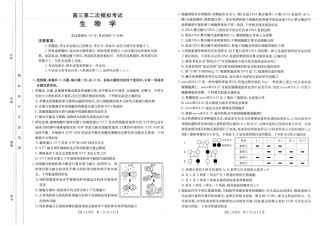河南省新乡2025届高三第二次模拟-生物试题+答案.pdf