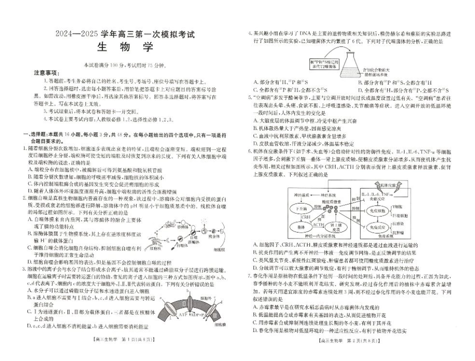 河南省新乡市2024-2025学年高三年级第一次模拟考试生物_生物试卷.pdf_第1页