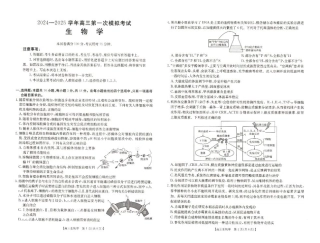 河南省新乡市2024-2025学年高三年级第一次模拟考试生物_生物试卷.pdf