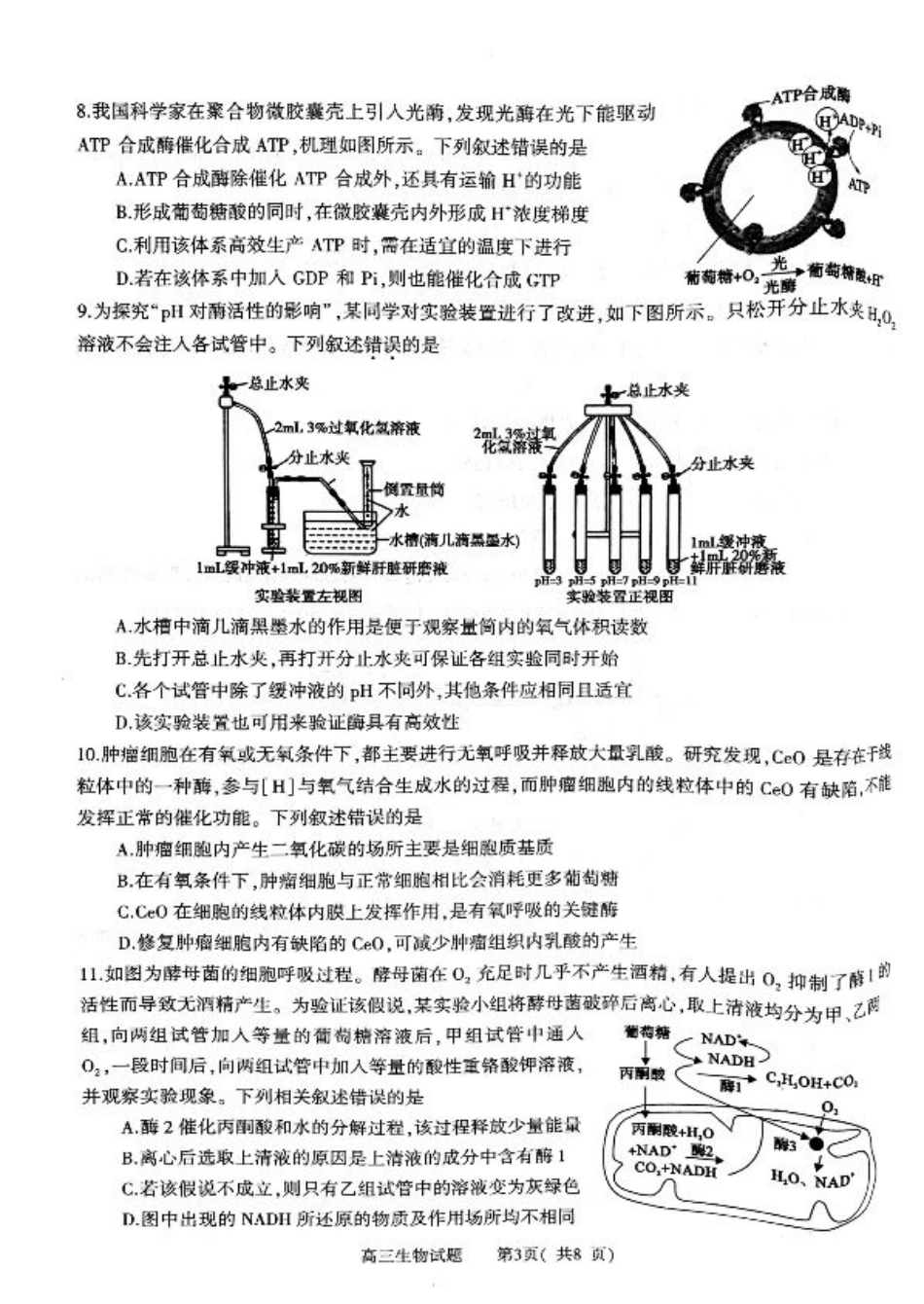河南省信阳市2024-2025学年普通高中高三第一次教学教学质量检测 生物.pdf_第3页