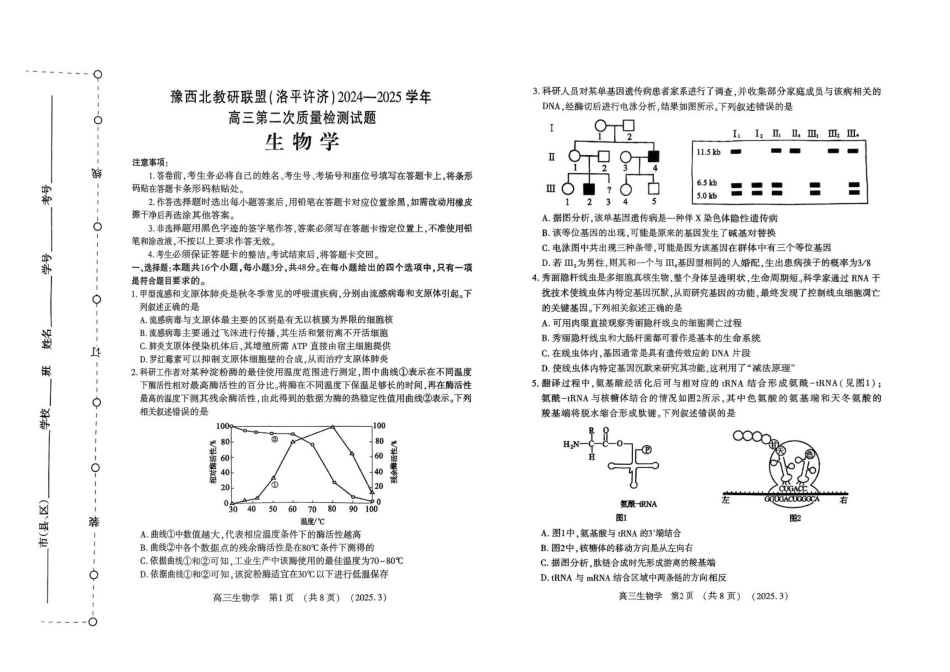 河南省豫西北教研联盟（洛平许济）2024-2025学年高三下学期第二次质量检测生物试卷+答案.pdf_第1页