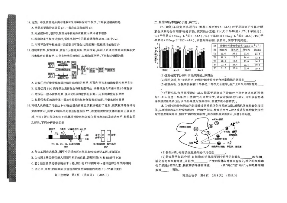 河南省豫西北教研联盟（洛平许济）2024-2025学年高三下学期第二次质量检测生物试卷+答案.pdf_第3页
