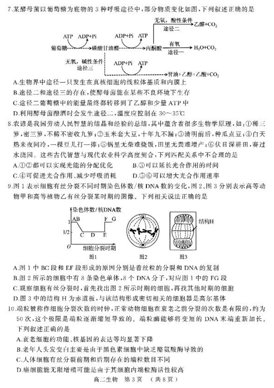 河南省驻马店市2024-2025学年高二下学期期末质量检测生物试题（含答案）.pdf_第3页