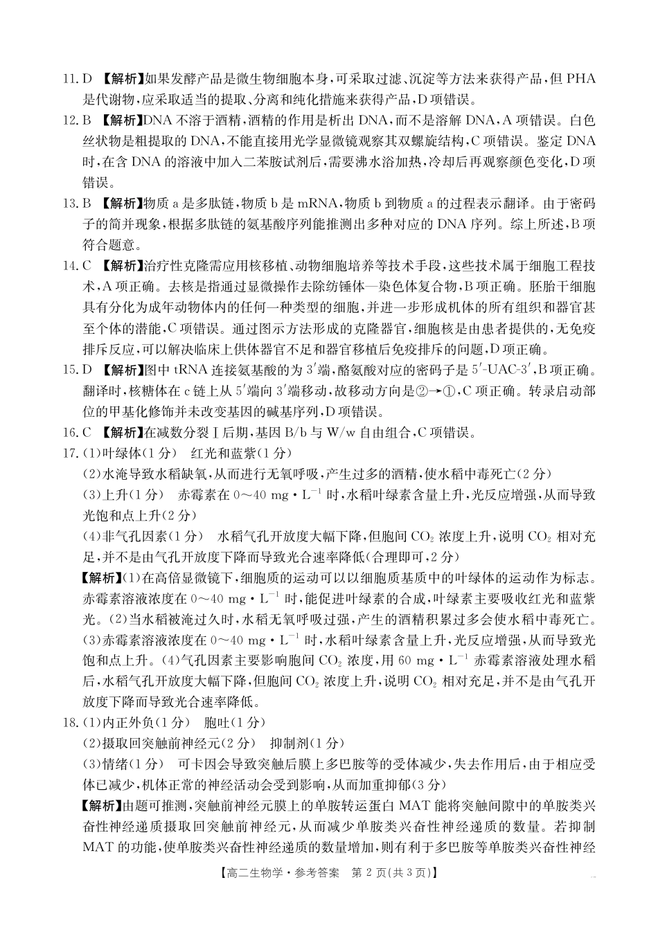 河南新乡2024-2025学年下学期高二生物试卷（期末考试）答案.pdf_第2页