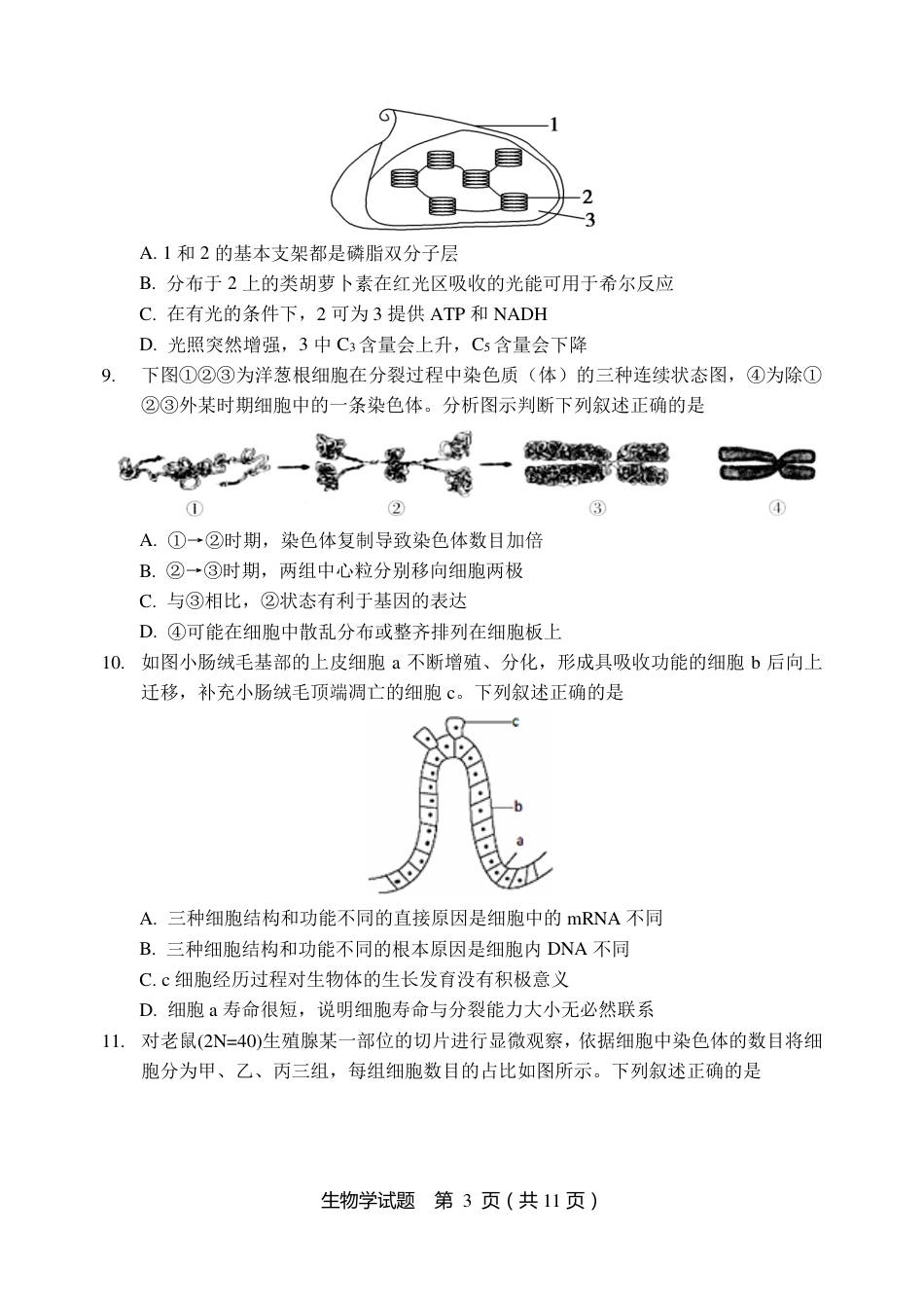 黑龙江省龙东联盟2024-2025学年高三上学期11月月考生物_生物试题.pdf_第3页