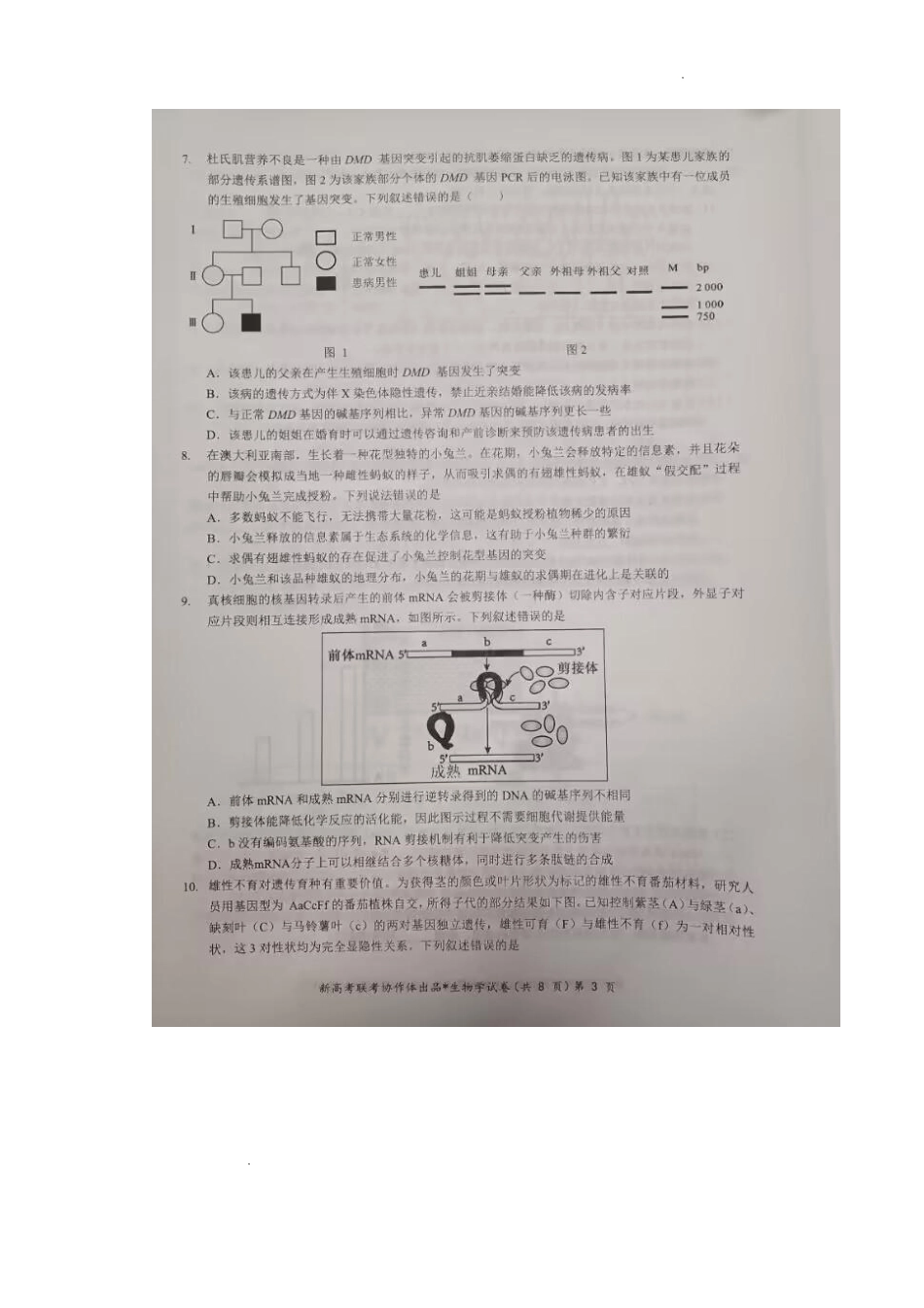 湖北部分名校 2025 届高三1月联考（云学联盟）生物试题+答案.pdf_第3页