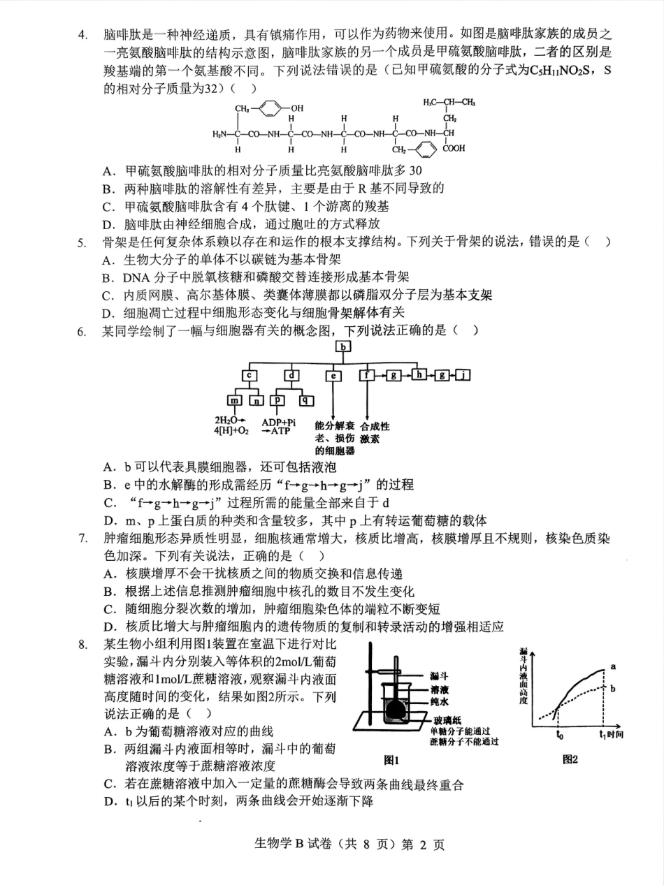 湖北省“新八校”协作体2025-2026学年度上学期高三10月月考生物.pdf_第2页