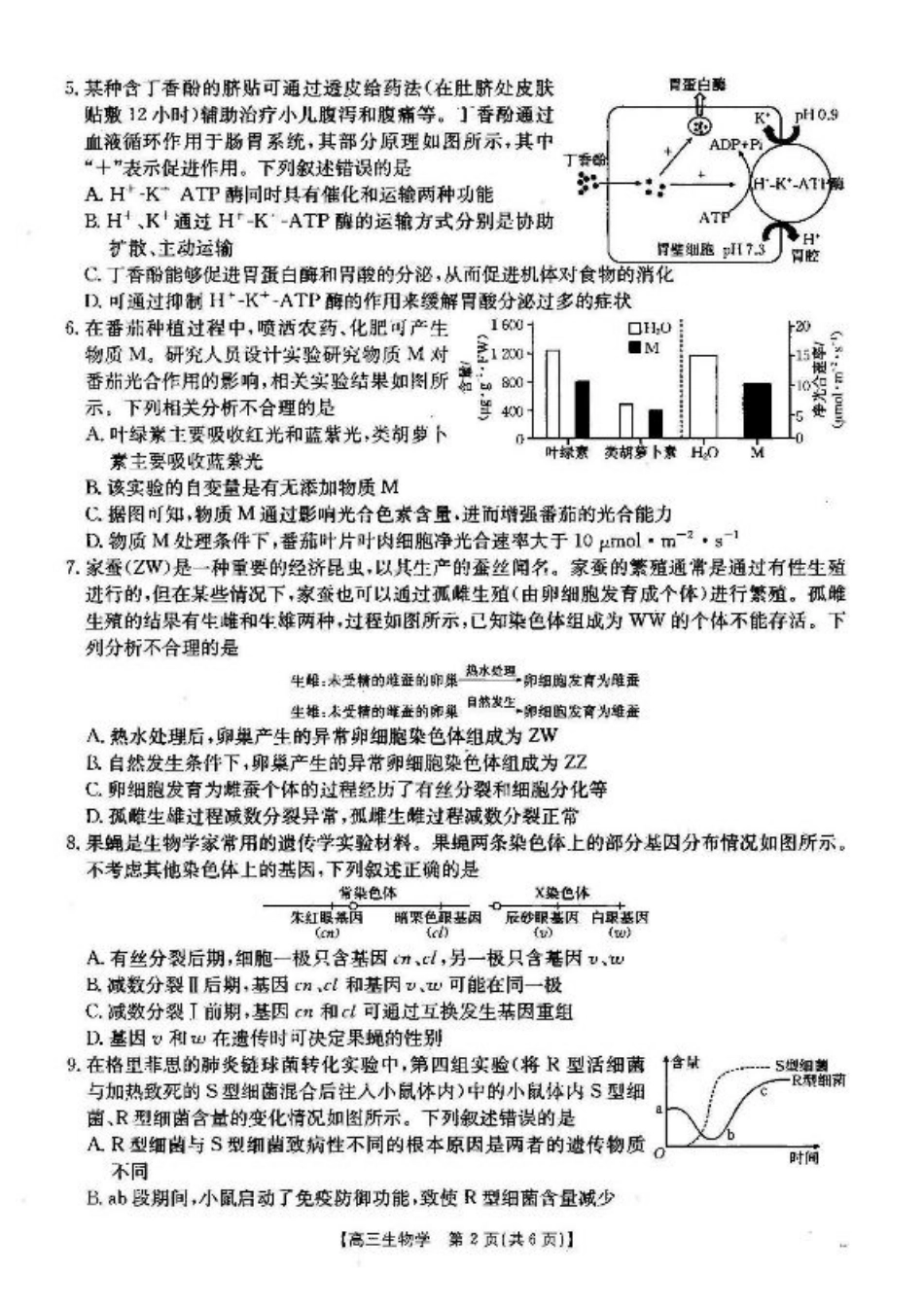 湖北省2024-2025学年高三上学期12月联考生物_生物.pdf_第2页