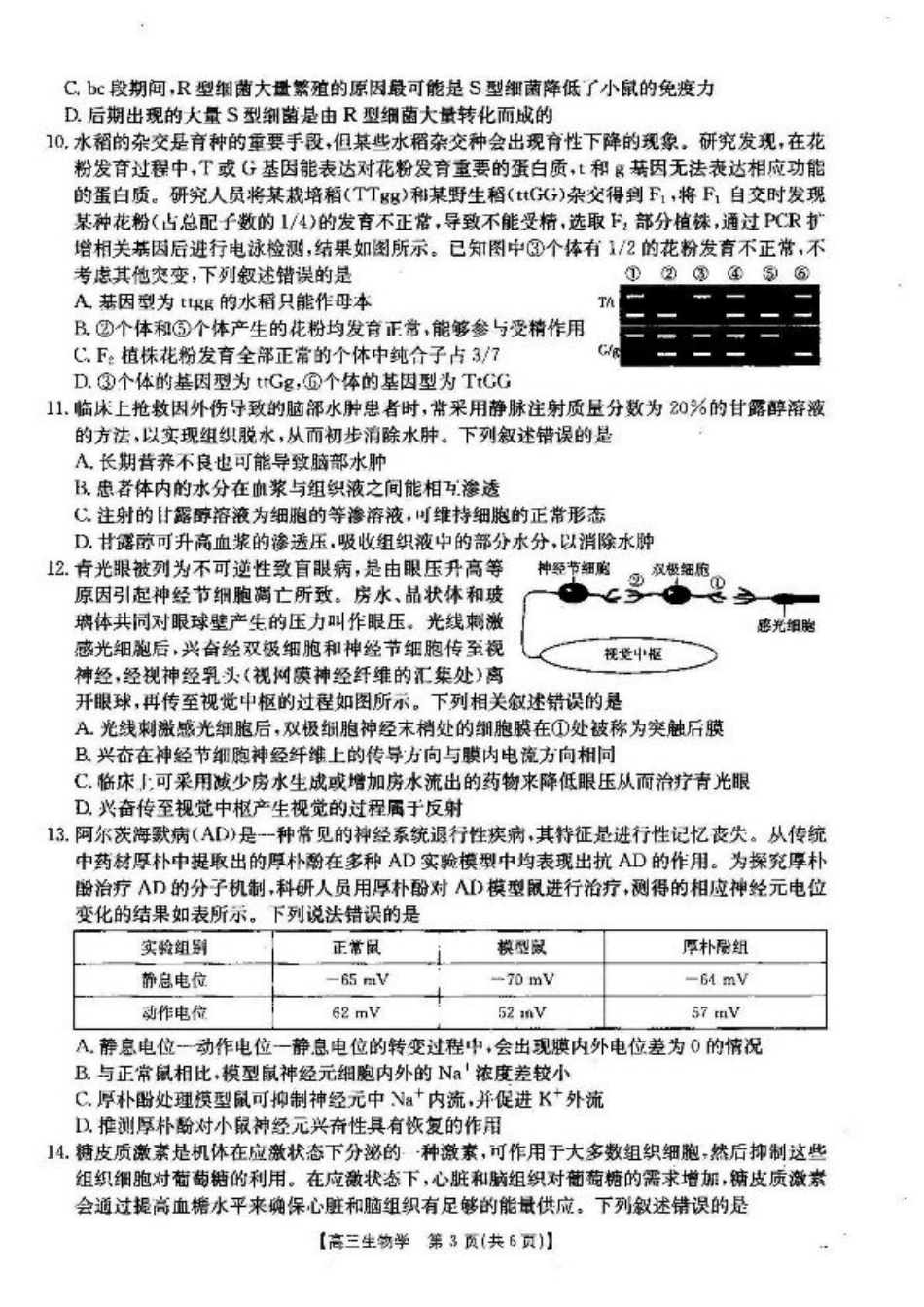 湖北省2024-2025学年高三上学期12月联考生物_生物.pdf_第3页