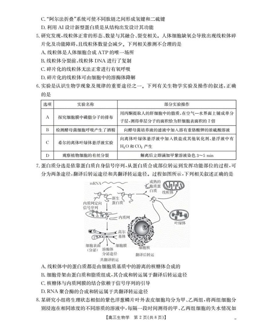 湖北省2026届高三上学期10月联考-生物+答案.pdf_第2页