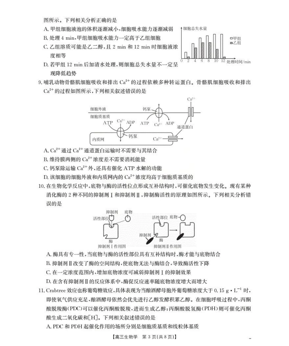 湖北省2026届高三上学期10月联考-生物+答案.pdf_第3页