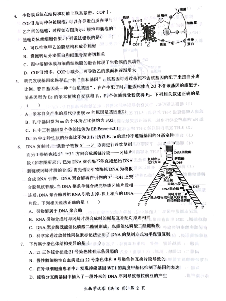 湖北省部分名校2025-2026学年度上学期高三9月月考生物.pdf_第2页