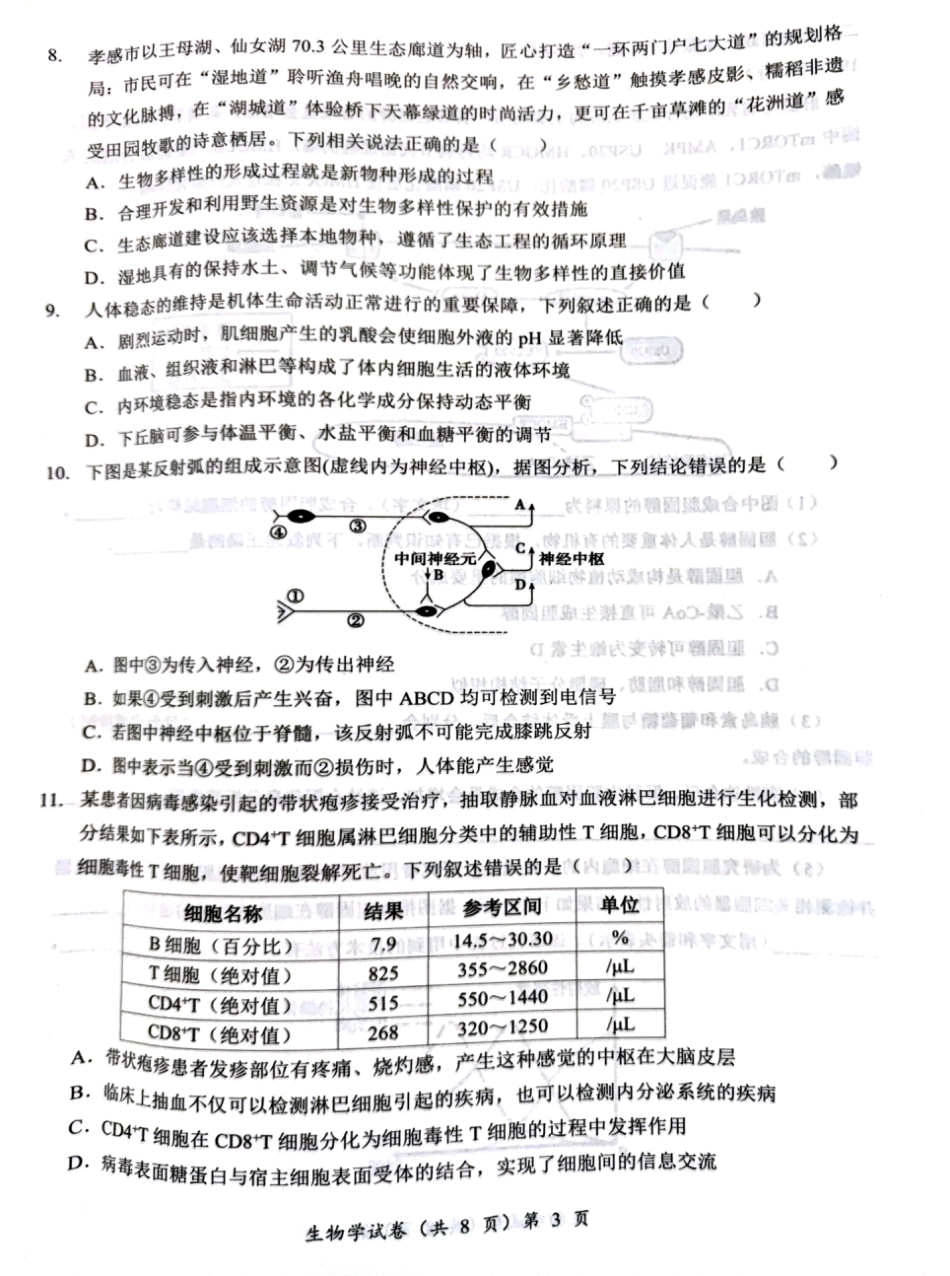 湖北省部分名校2025-2026学年度上学期高三9月月考生物.pdf_第3页