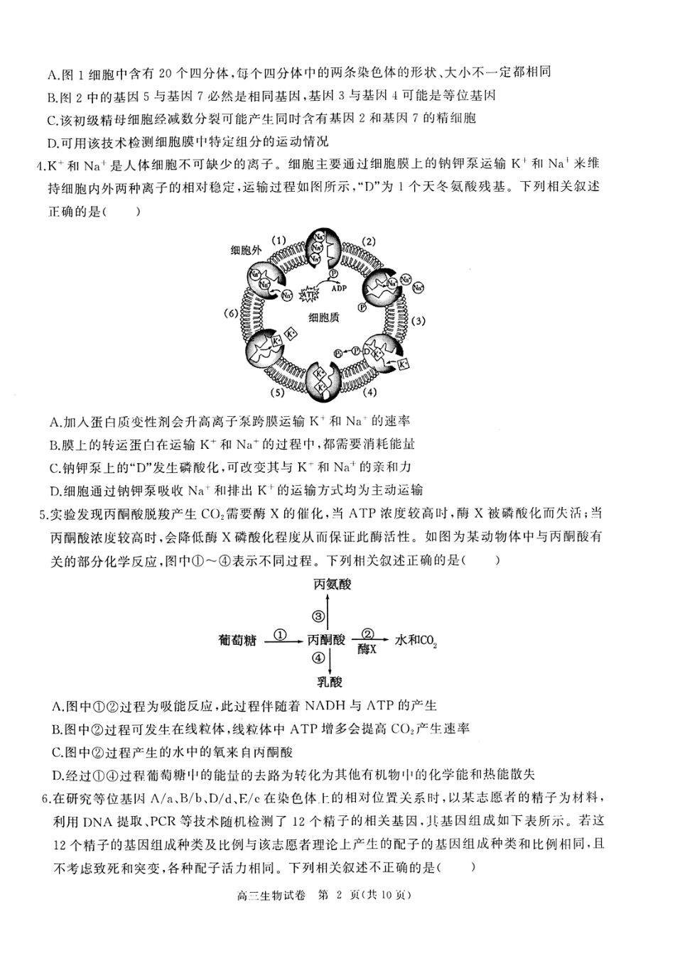 湖北省部分重点中学【生物试卷】.pdf_第2页