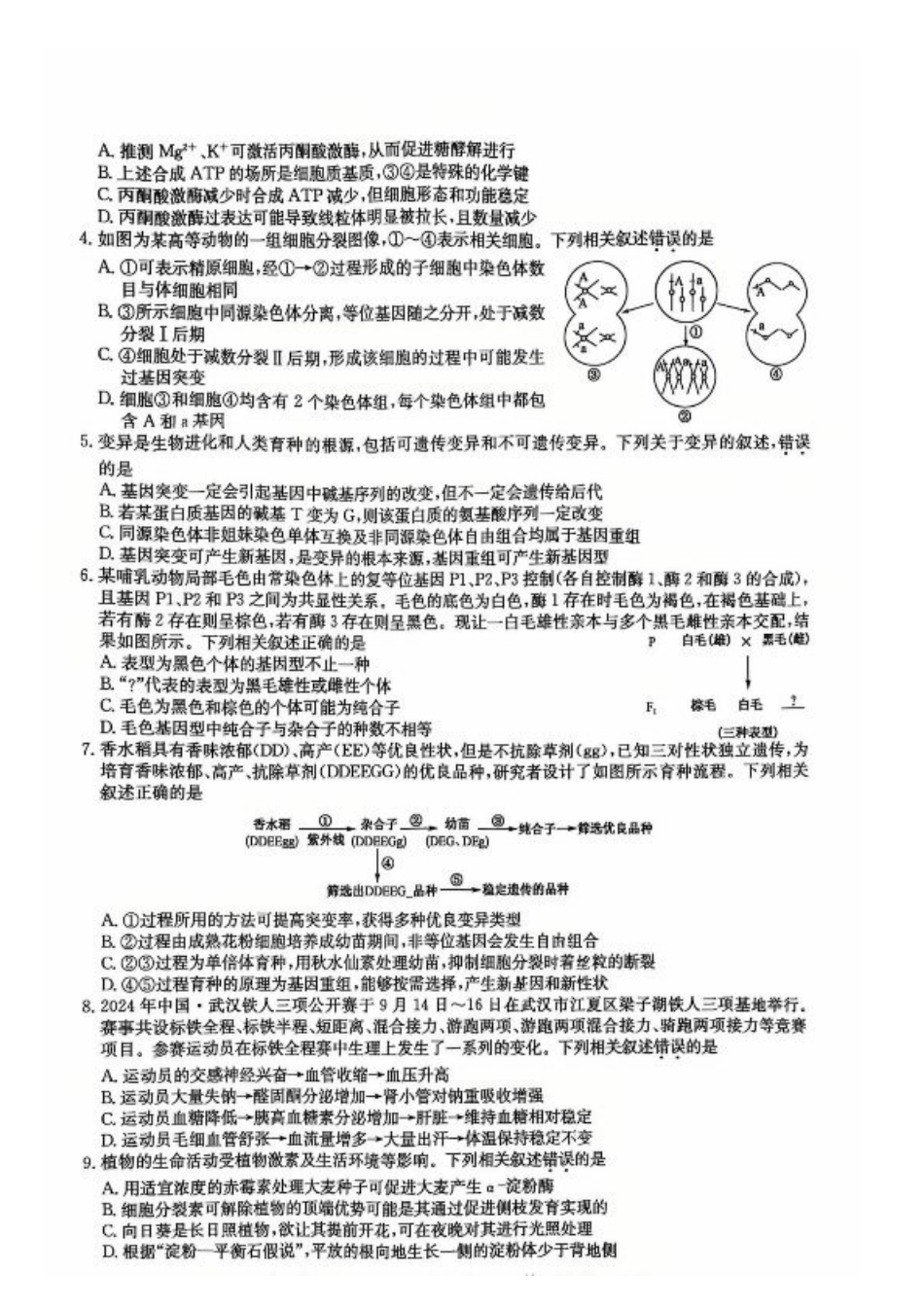 湖北省黄冈市2025届高三下学期核心预测卷生物.pdf_第2页