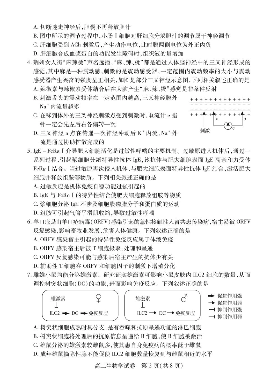 湖北省荆州市2024-2025学年高二下学期7月期末质量检测生物试题（含答案）.pdf_第2页