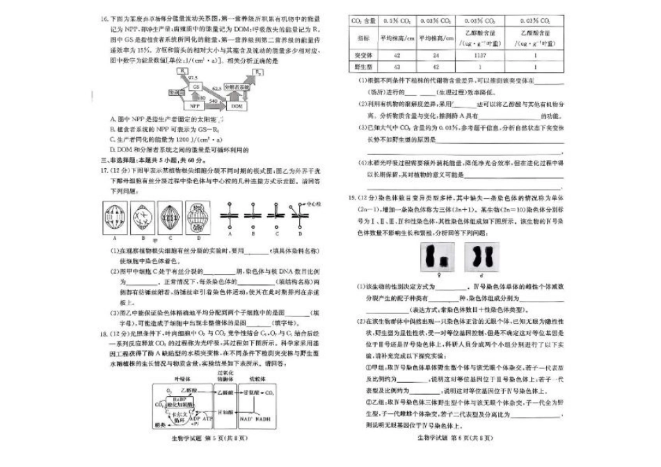 湖南名校联考联合体2026届高三上学期10月月考生物试题（含答案）.pdf_第3页