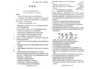 湖南名校联考联合体2026届高三上学期10月月考生物试题（含答案）.pdf