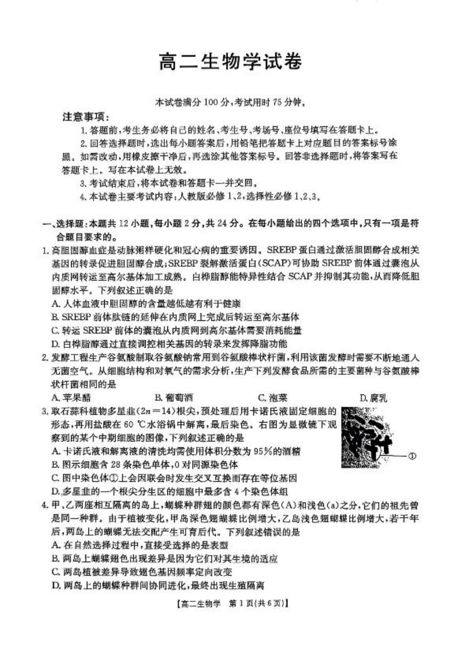 湖南省衡阳市2024-2025学年高二下学期7月期末考试生物试卷（含答案）.pdf_第1页