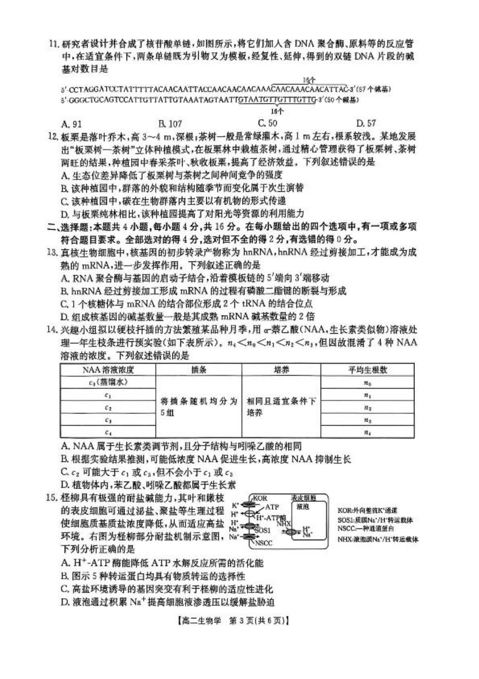 湖南省衡阳市2024-2025学年高二下学期7月期末考试生物试卷（含答案）.pdf_第3页