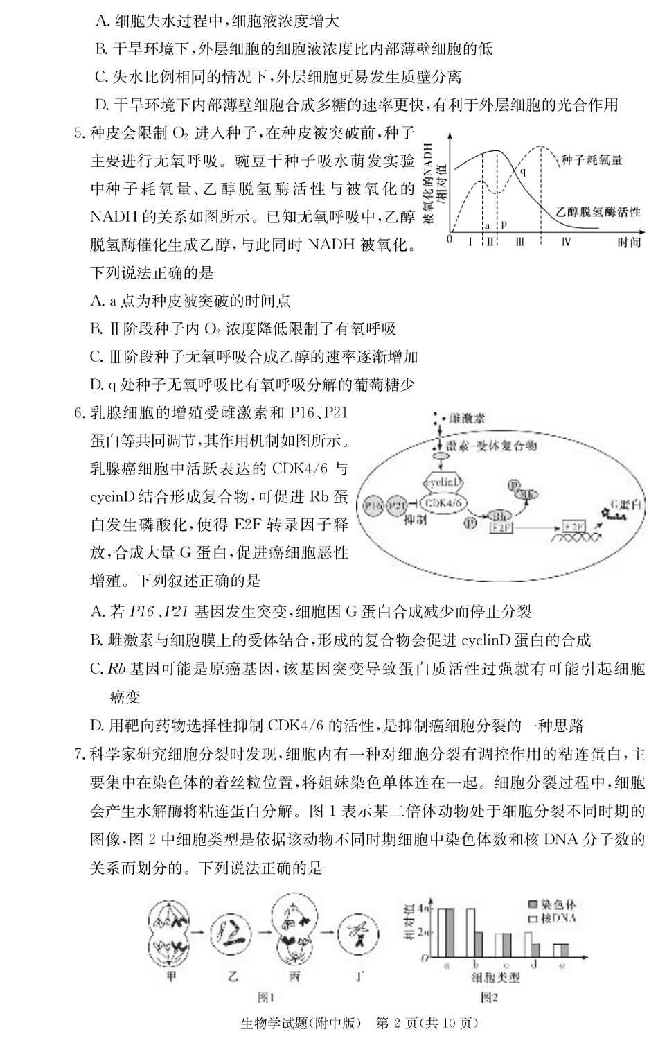 湖南省湖南师范大学附属中学2025届高三上学期月考（二）生物_生物学用（附中2次）.pdf_第2页