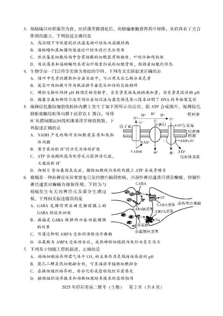 湖南省邵阳市2024-2025学年高二下学期7月期末考试生物试题+答案.pdf_第2页