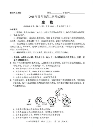 湖南省邵阳市2024-2025学年高二下学期7月期末考试生物试题+答案.pdf