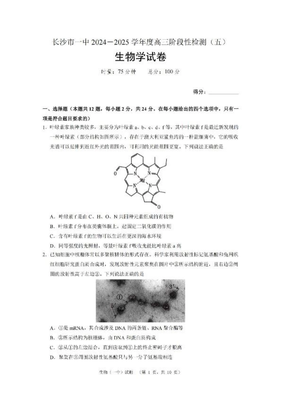 湖南省长沙市第一中学2025届高三上学期阶段性检测（五）生物试卷（含解析）.pdf_第1页