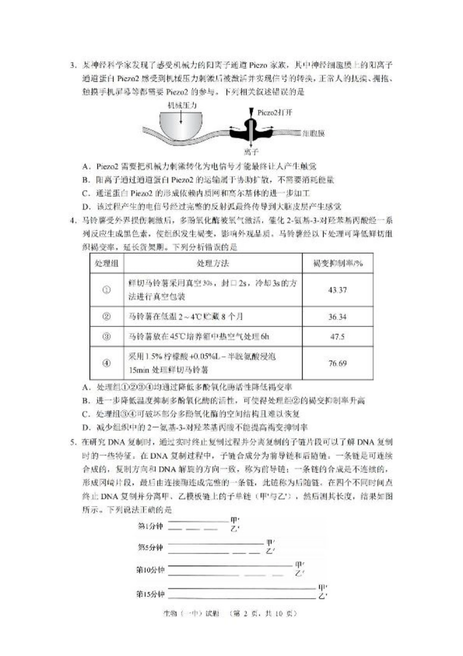 湖南省长沙市第一中学2025届高三上学期阶段性检测（五）生物试卷（含解析）.pdf_第2页