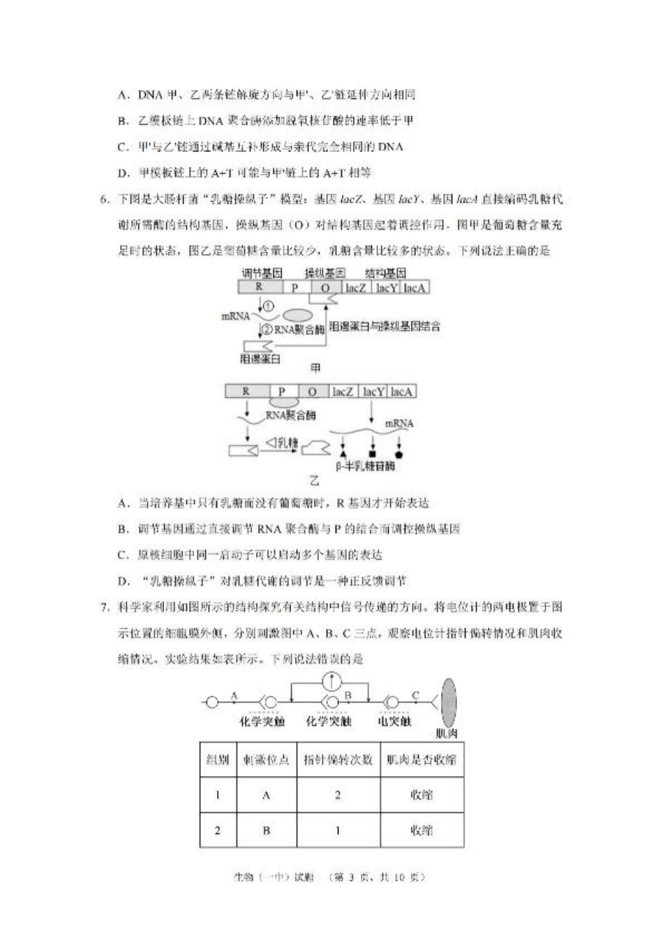 湖南省长沙市第一中学2025届高三上学期阶段性检测（五）生物试卷（含解析）.pdf_第3页