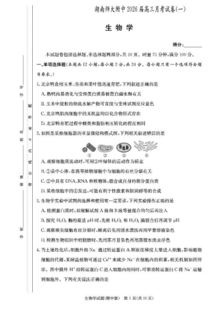 湖南省长沙市湖南师范大学附属中学2026届高三上学期月考（一）生物试卷（含答案）.pdf