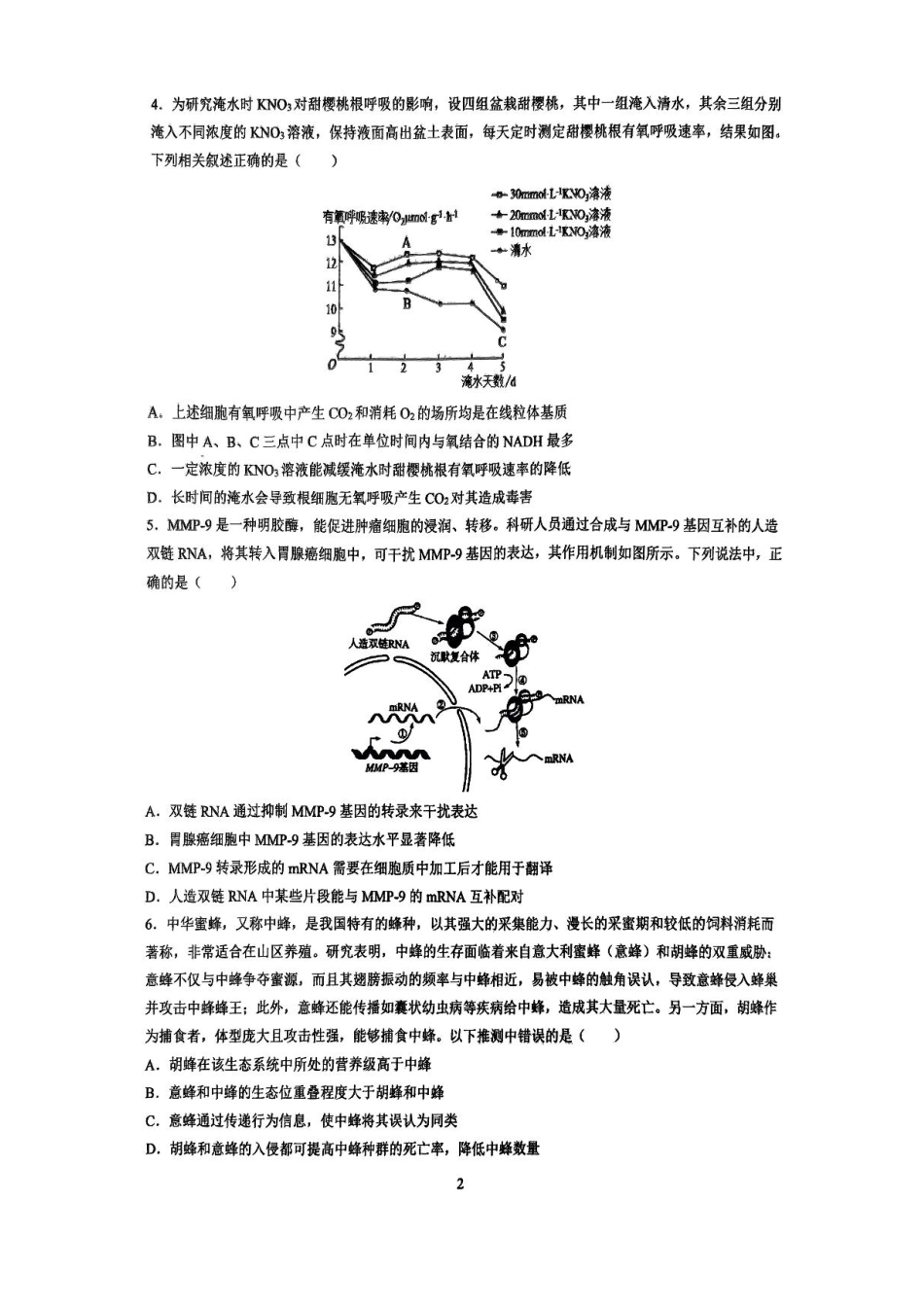 湖南省长沙市雅礼中学2024-2025学年高三上学期入学考试生物试题+答案.pdf_第2页