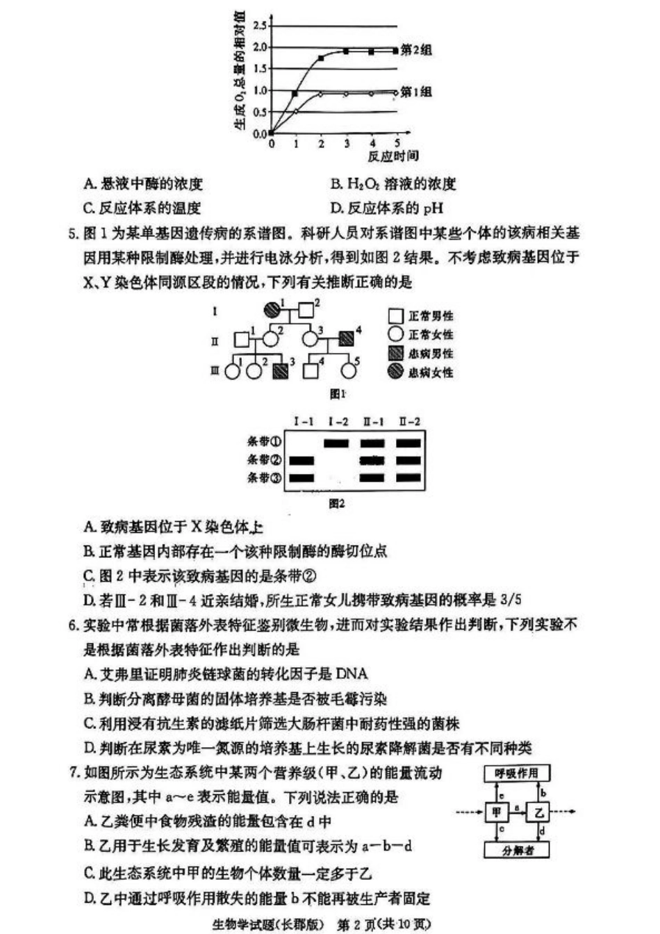 湖南省长沙市长郡中学2024-2025学年高三上学期月考卷（四） 生物试卷+答案.pdf_第2页