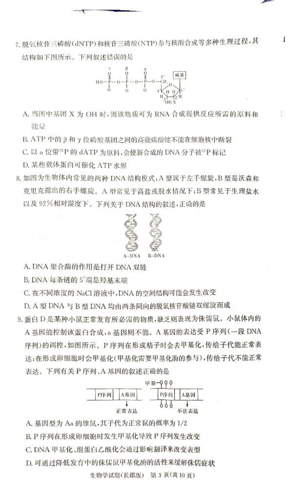 湖南省长沙市长郡中学2024-2025学年高三上学期月考试卷二生物试题.pdf_第3页