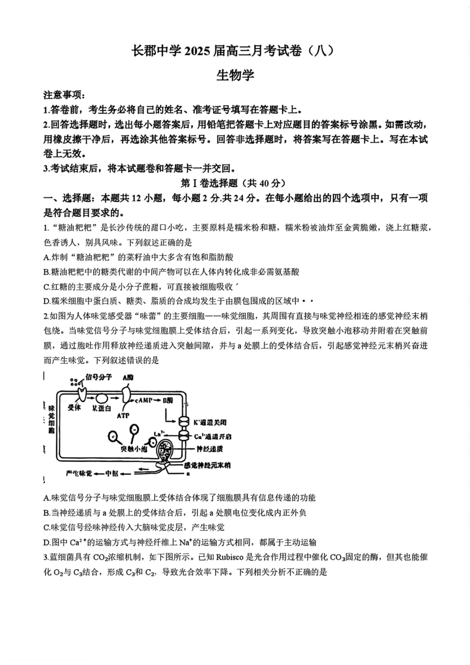 湖南省长沙市长郡中学2025届高三下学期4月月考（八）生物试题+答案.pdf_第1页