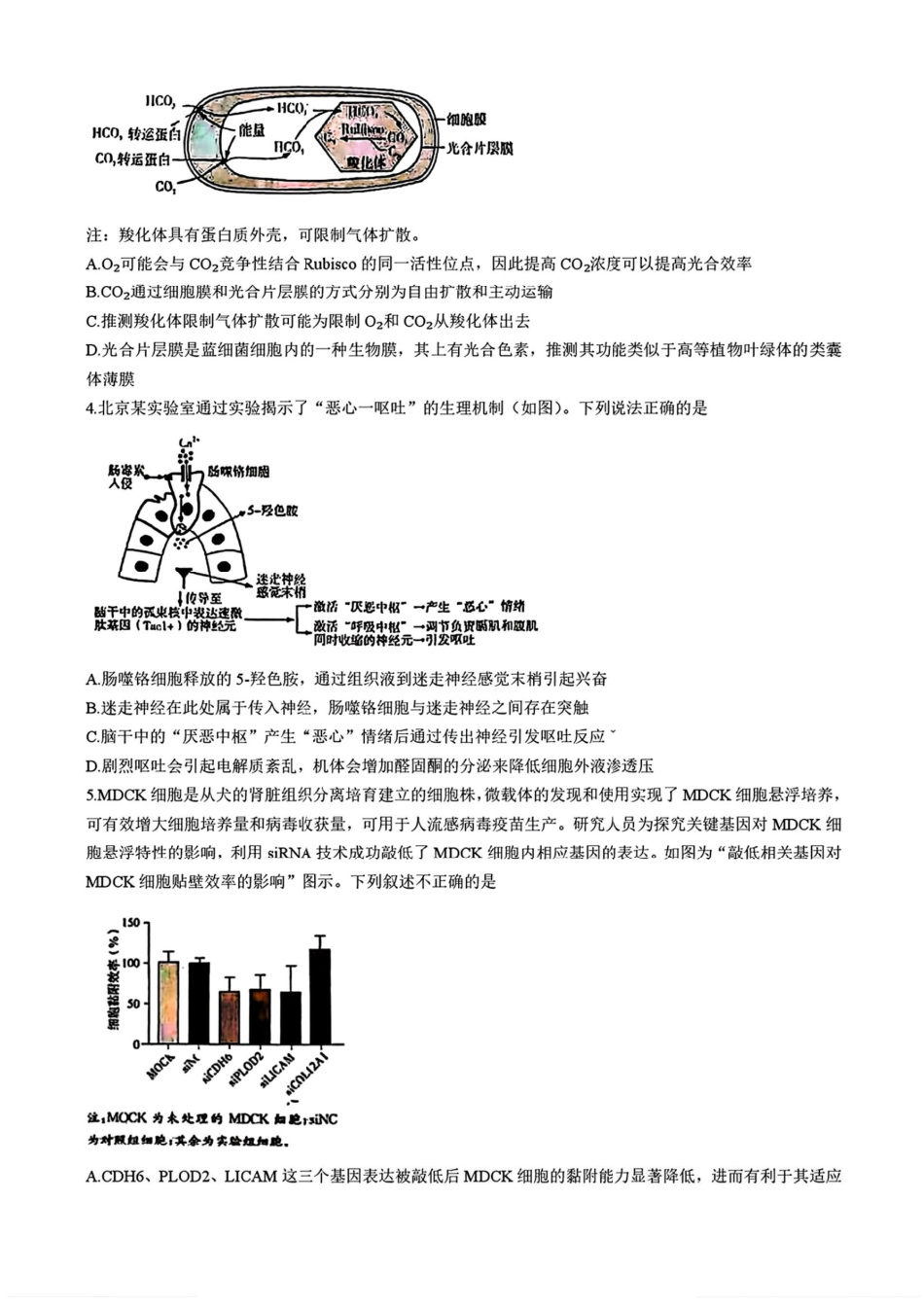 湖南省长沙市长郡中学2025届高三下学期4月月考（八）生物试题+答案.pdf_第2页