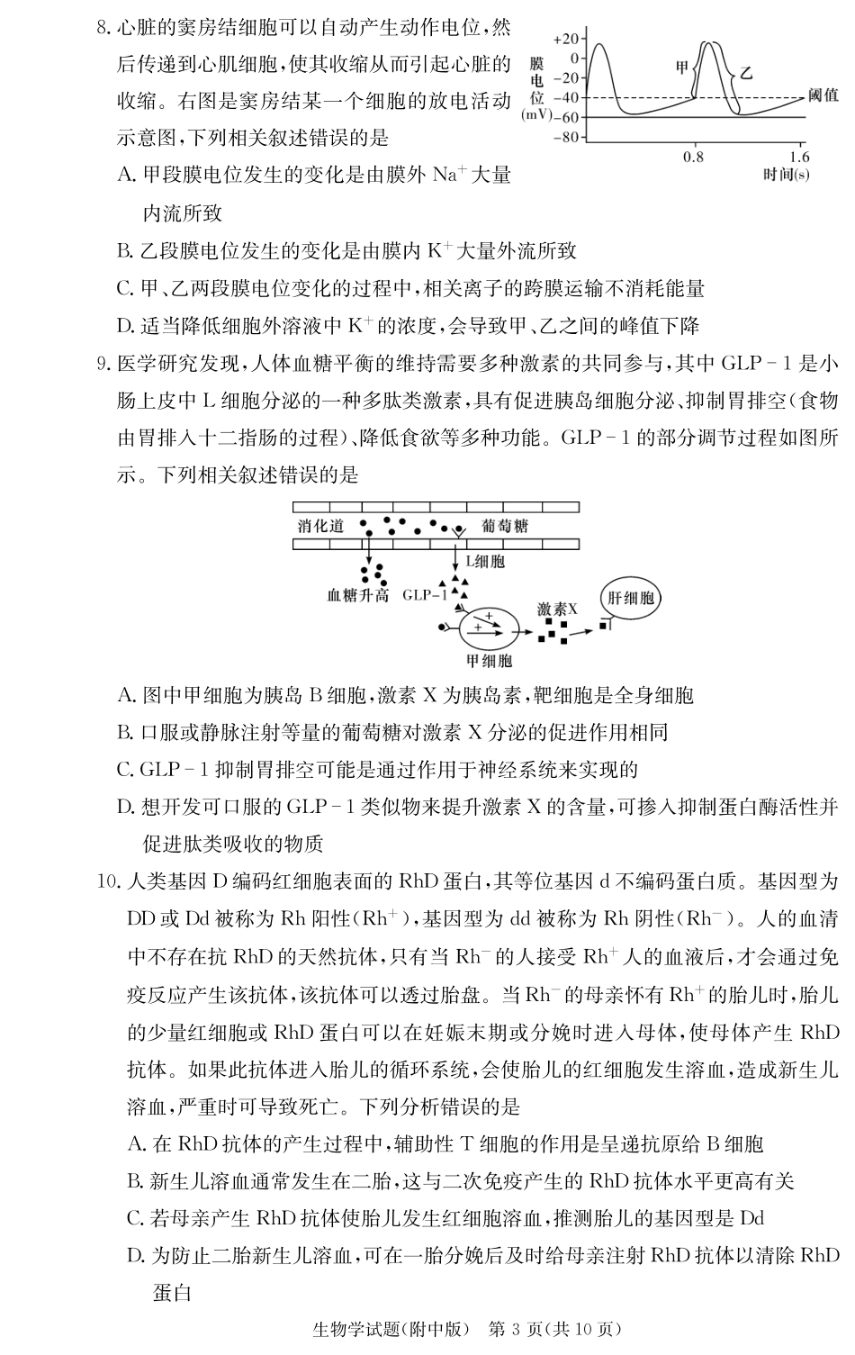 湖南师范大学附属中学2024-2025学年高三上学期月考卷（三）生物（附中高三3次）.pdf_第3页