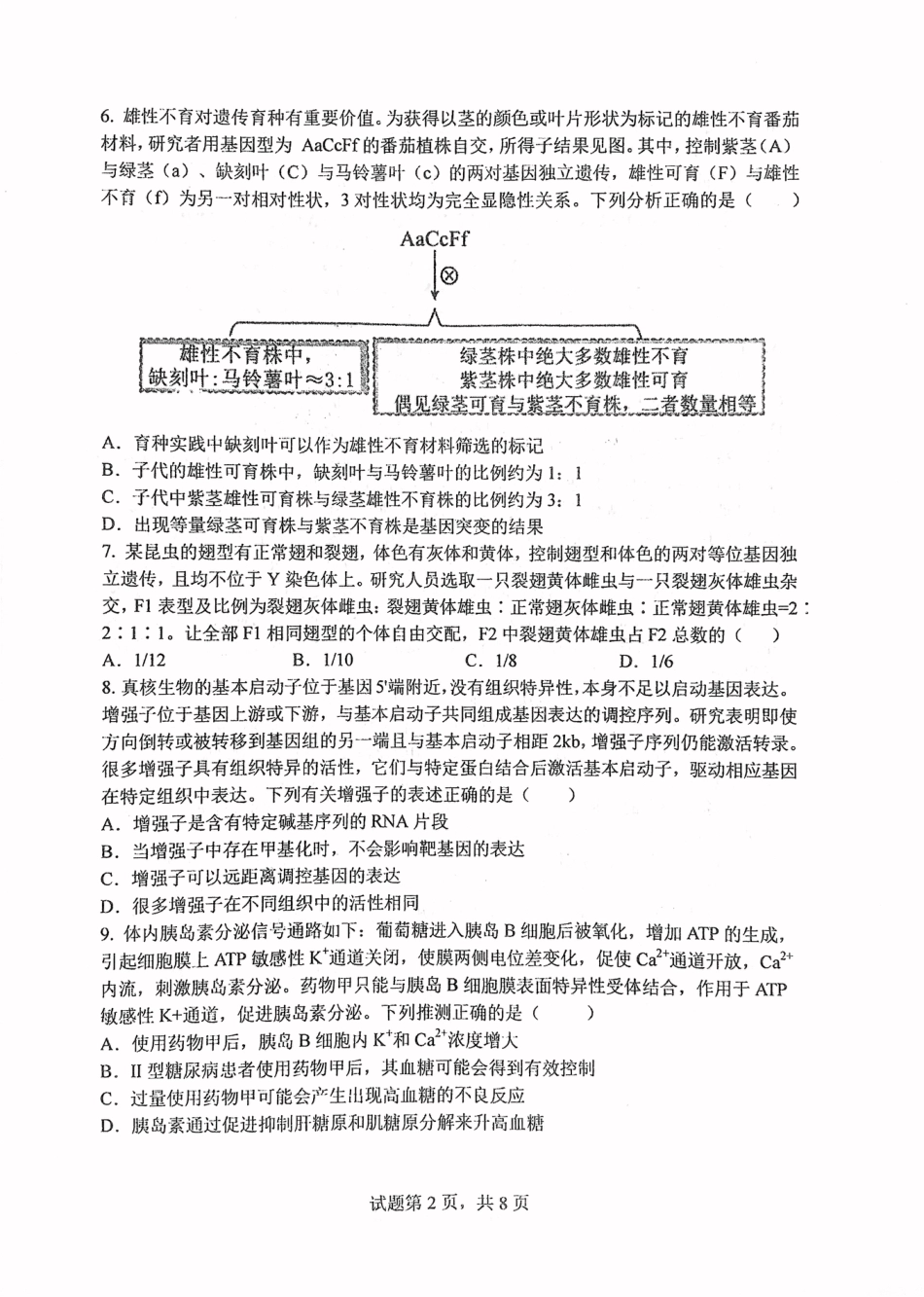 华中师范大学第一附属中学2024-2025学年高三上学期10月月度检测生物试卷.pdf_第2页