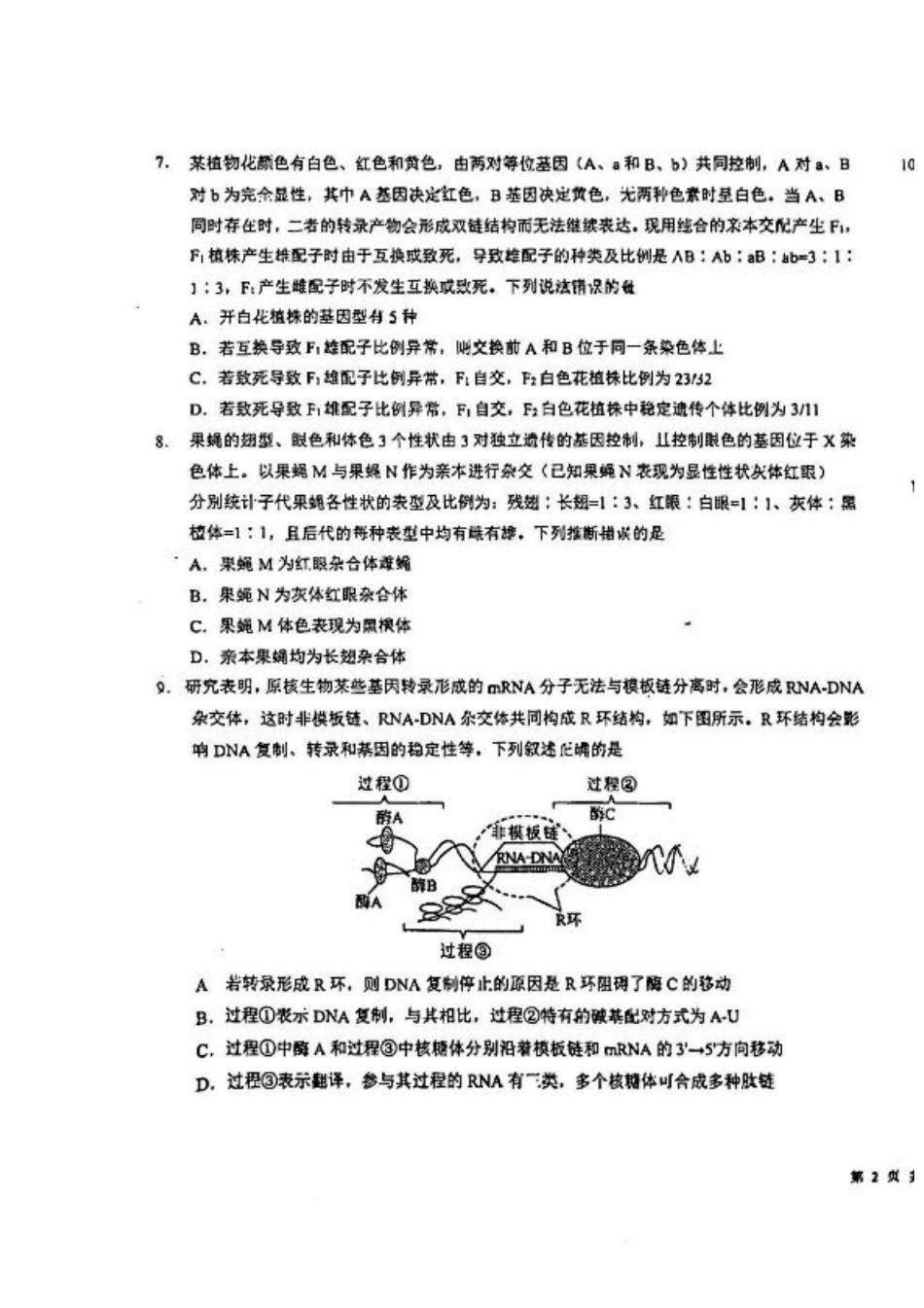 吉林省东北师范大学附属中学2024-2025学年高三上学期第一次摸底考试生物试卷.pdf_第3页