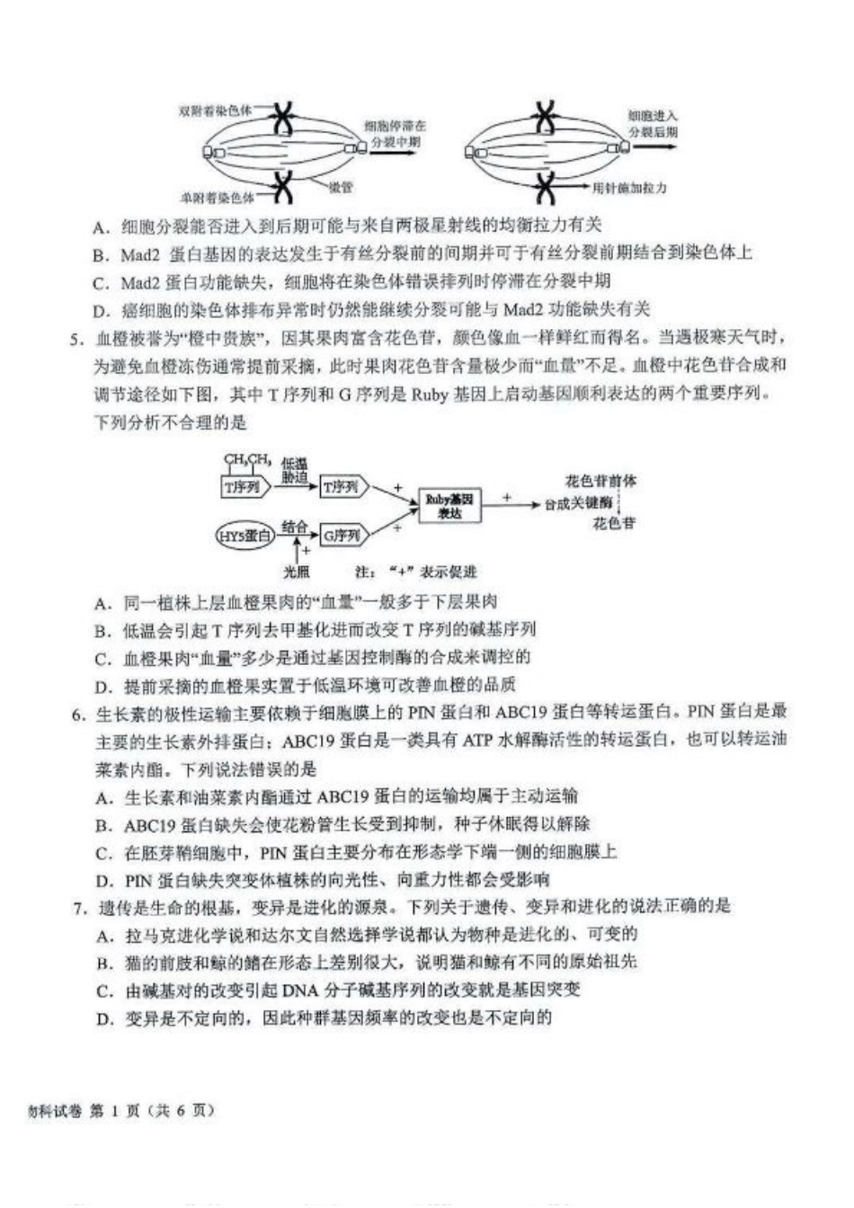 吉林省长春市东北师范大学附属中学等五校2024-2025学年高三上学期期末考试生物+答案.pdf_第2页