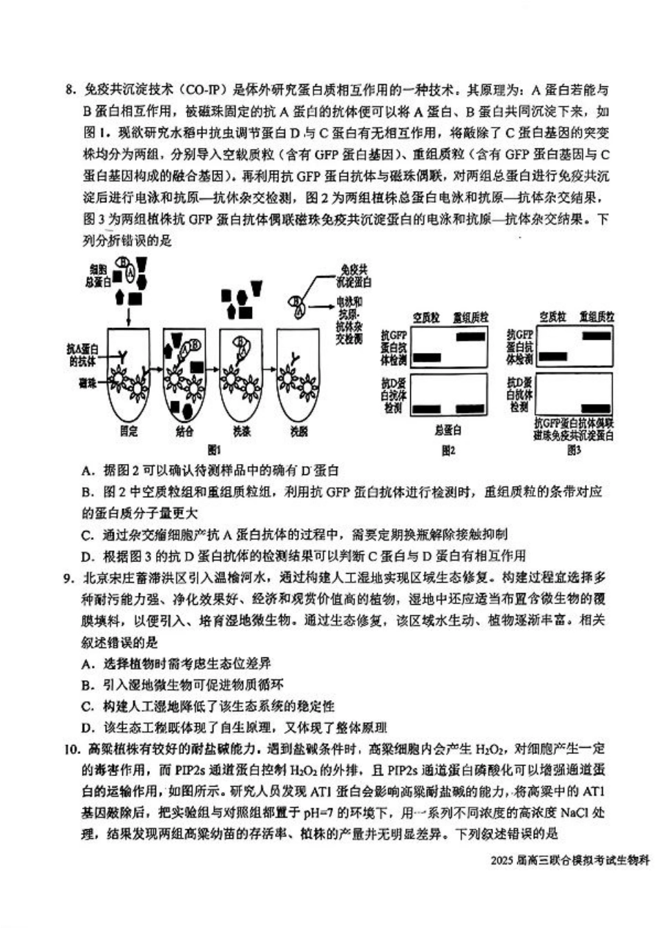吉林省长春市东北师范大学附属中学等五校2024-2025学年高三上学期期末考试生物+答案.pdf_第3页