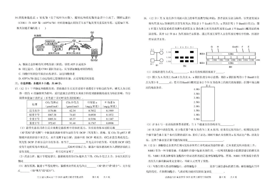 江西省八所重点2025届高三下学期4月联考（二模）生物试卷（含答案）.pdf_第3页