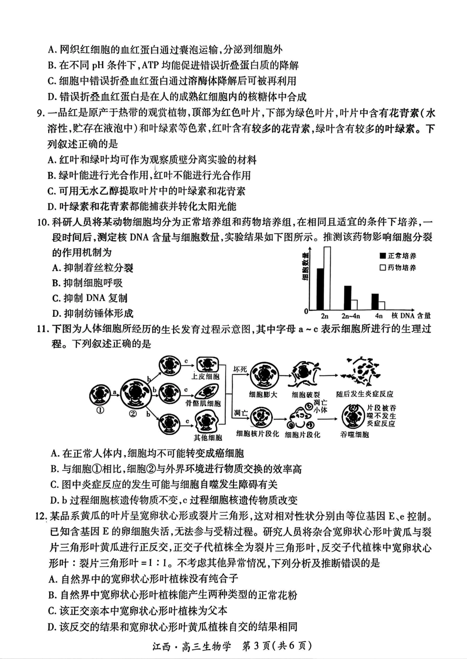 江西省上进联考2024-2025学年高三上学期10月月考生物试题.pdf_第3页