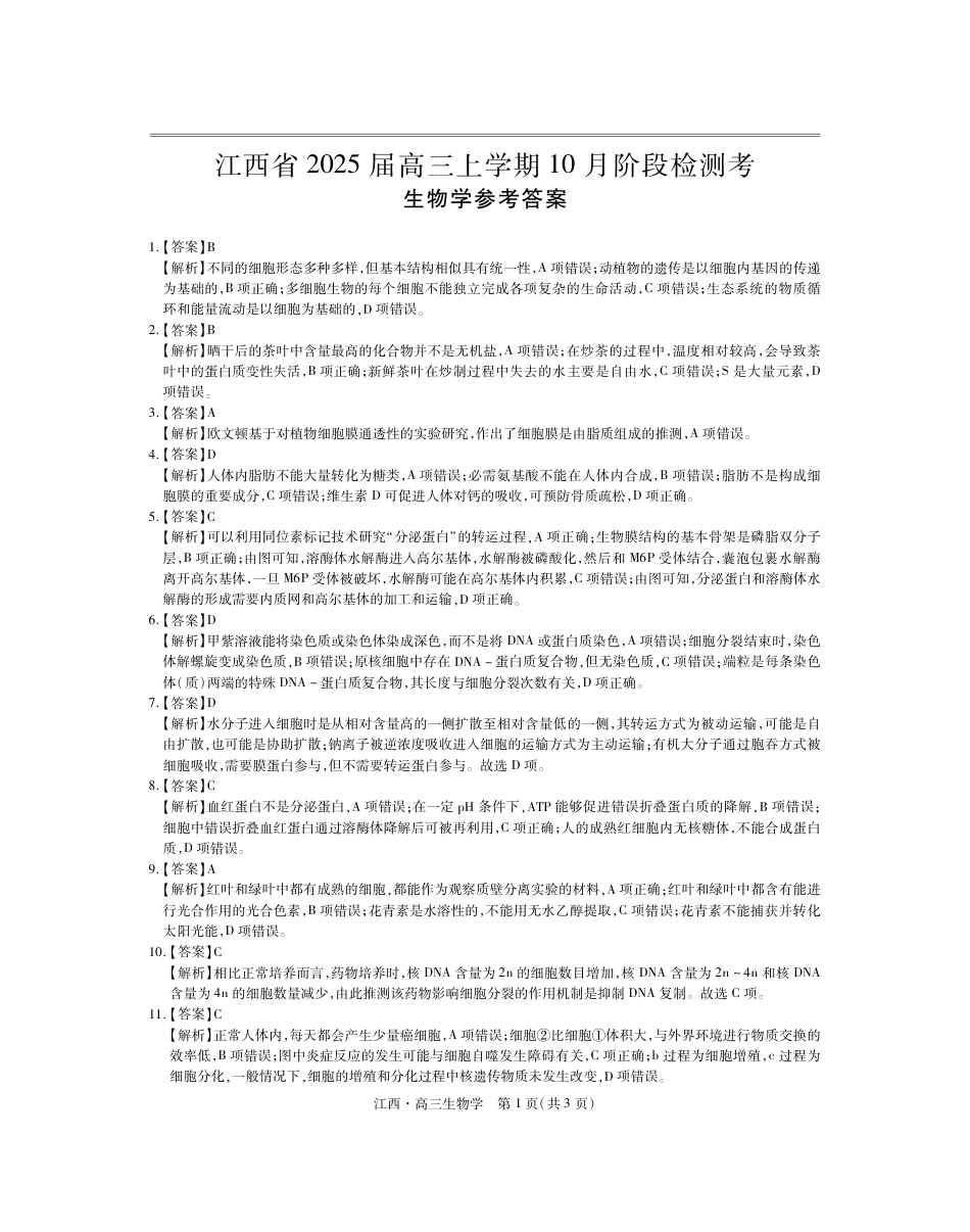 江西省上进联考2024-2025学年高三上学期10月月考生物试题答案.pdf_第1页