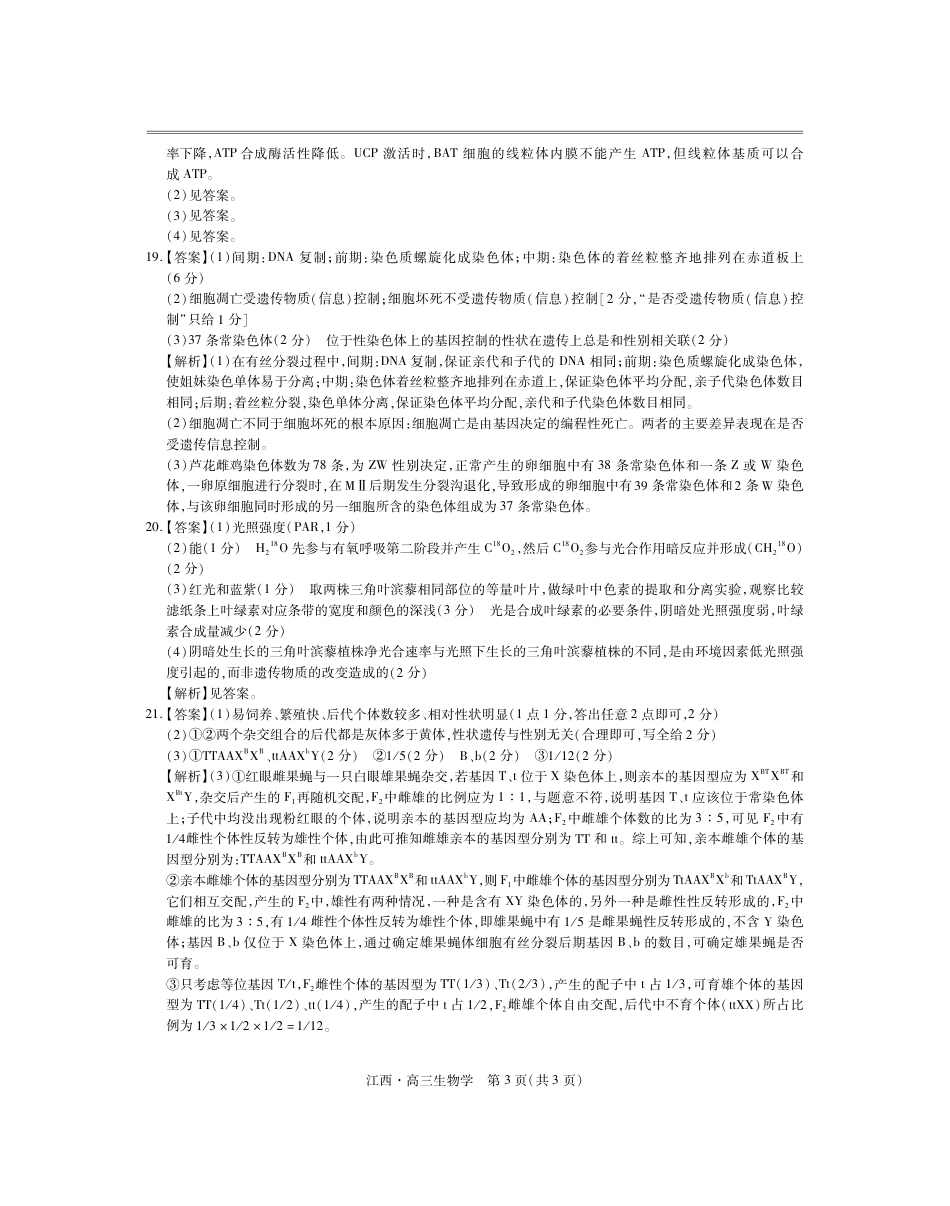 江西省上进联考2024-2025学年高三上学期10月月考生物试题答案.pdf_第3页