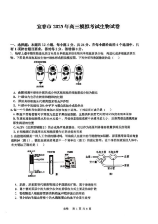 江西省宜春市2025届高三下学期4月模拟考试生物试卷（有答案）.pdf